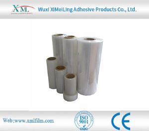 Building Glass Protective Film